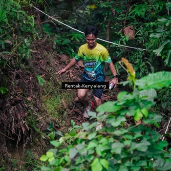 Runner Photo 8377586