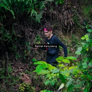Runner Photo 8377587