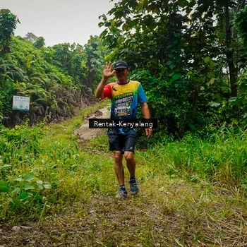 Runner Photo 8377589