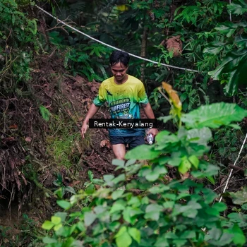 Runner Photo 8377590