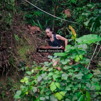 Runner Photo 8377594