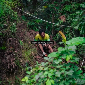 Runner Photo 8377595