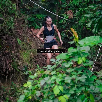 Runner Photo 8377599