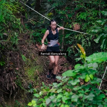 Runner Photo 8377603