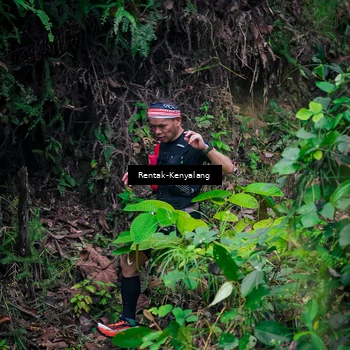 Runner Photo 8377613