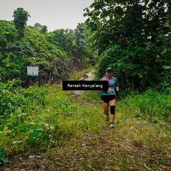 Runner Photo 8377614