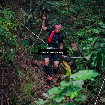 Runner Photo 8377616