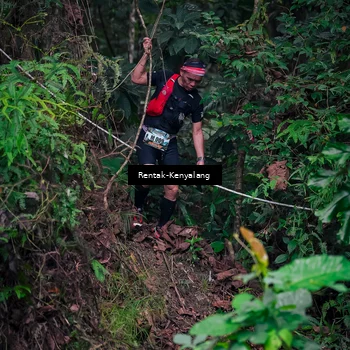 Runner Photo 8377619