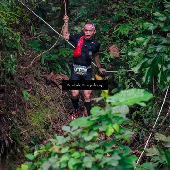 Runner Photo 8377620
