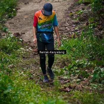 Runner Photo 8377626