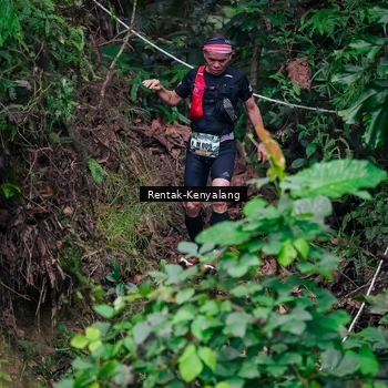 Runner Photo 8377629