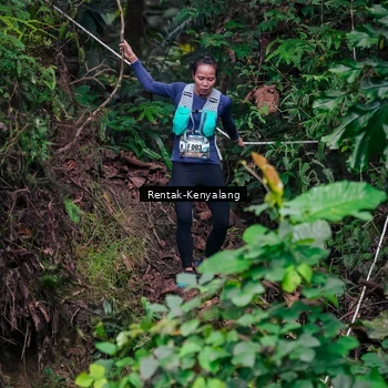 Runner Photo 8377630