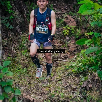 Runner Photo 8377631