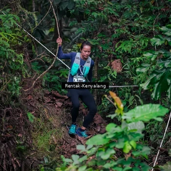 Runner Photo 8377632