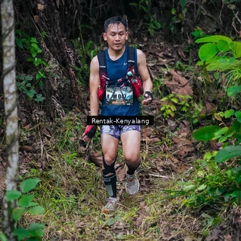 Runner Photo 8377633
