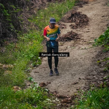 Runner Photo 8377634