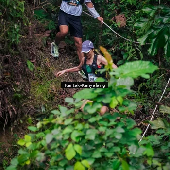 Runner Photo 8377642