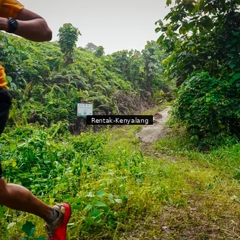 Runner Photo 8377643