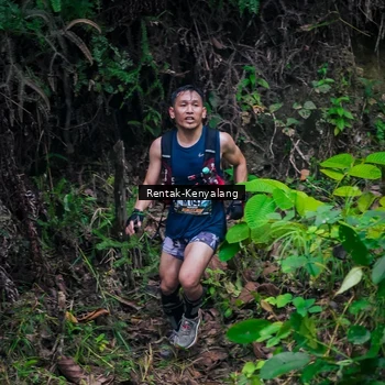Runner Photo 8377644
