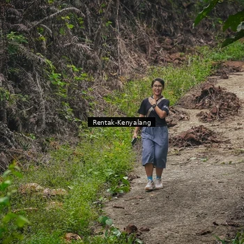 Runner Photo 8377646