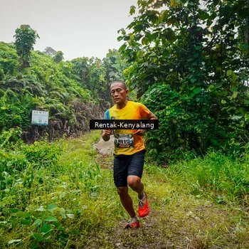 Runner Photo 8377648