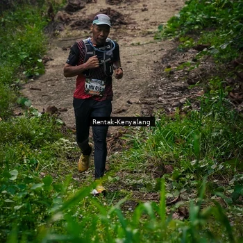 Runner Photo 8377661