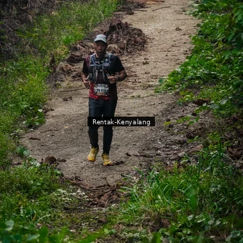 Runner Photo 8377664