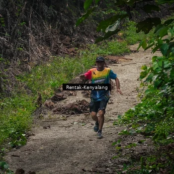 Runner Photo 8377668