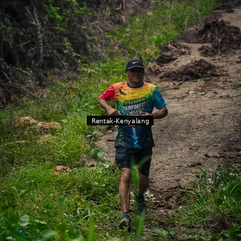 Runner Photo 8377670