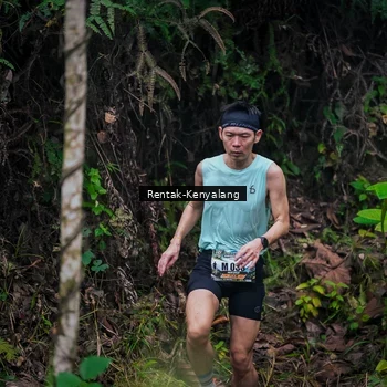 Runner Photo 8377671