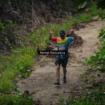 Runner Photo 8377672