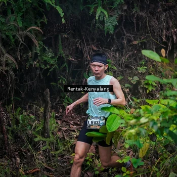 Runner Photo 8377673