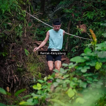 Runner Photo 8377677