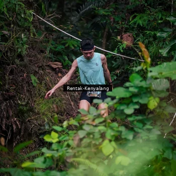 Runner Photo 8377680