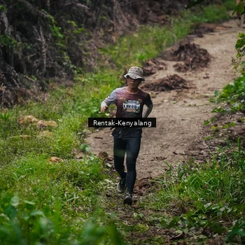 Runner Photo 8377681