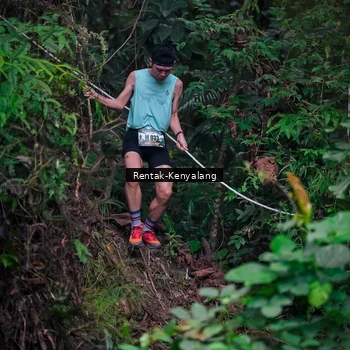 Runner Photo 8377683