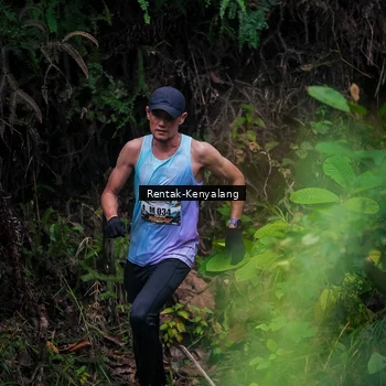 Runner Photo 8377691