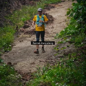 Runner Photo 8377696