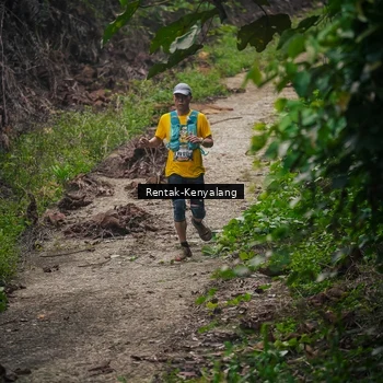 Runner Photo 8377698