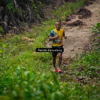 Runner Photo 8377702