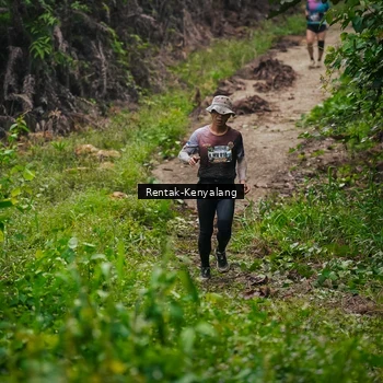 Runner Photo 8377704
