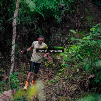 Runner Photo 8377709
