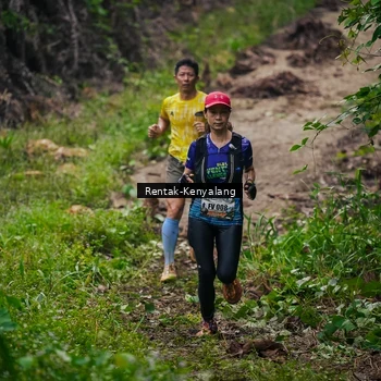 Runner Photo 8377712