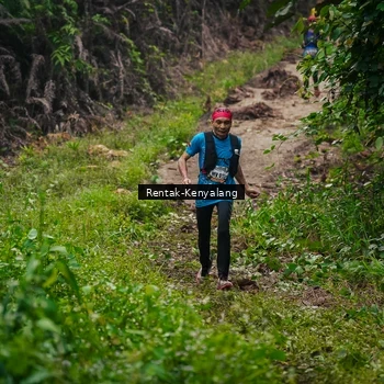 Runner Photo 8377713