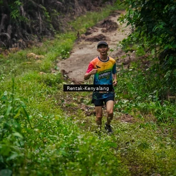 Runner Photo 8377716