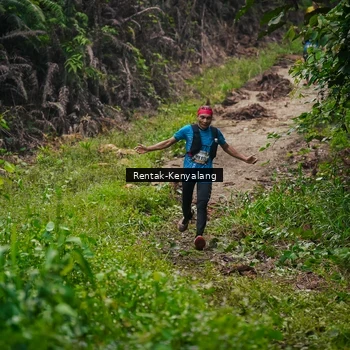 Runner Photo 8377717