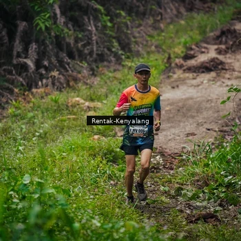Runner Photo 8377718