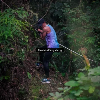 Runner Photo 8377720