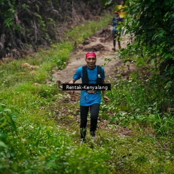 Runner Photo 8377726