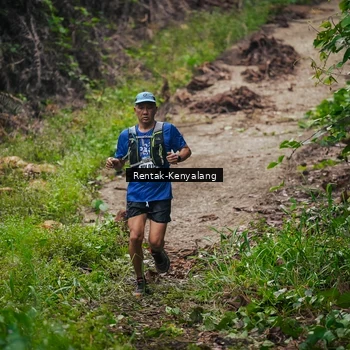 Runner Photo 8377727